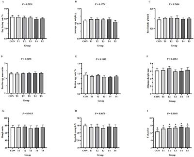 Effect of replacing dicalcium phosphate with mono-dicalcium phosphate to supplement phosphorus on laying performance, phosphorus-calcium metabolism and bone metabolism of aged laying hens